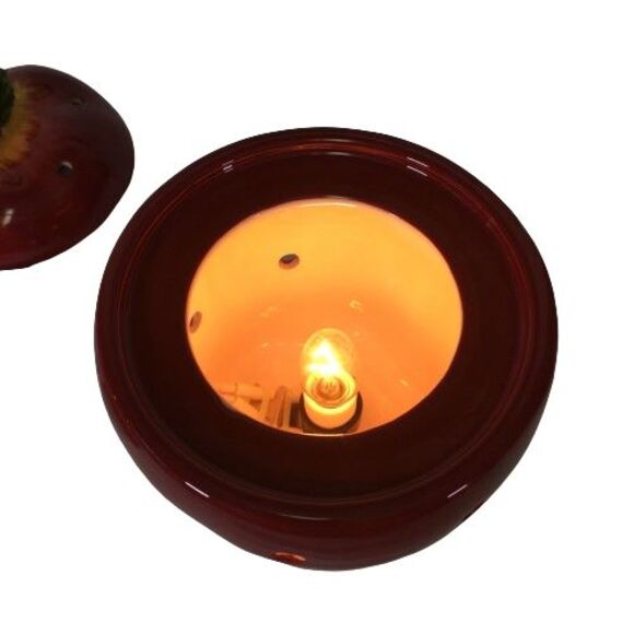 Scentsy Big Apple Full Size Teacher Plug In Wax Candle Warmer Red Retired 2010 - Picture 12 of 16